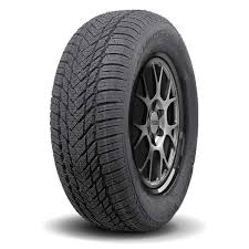 PNEU 205/60R15 91H RBK ROYALWINTER HP