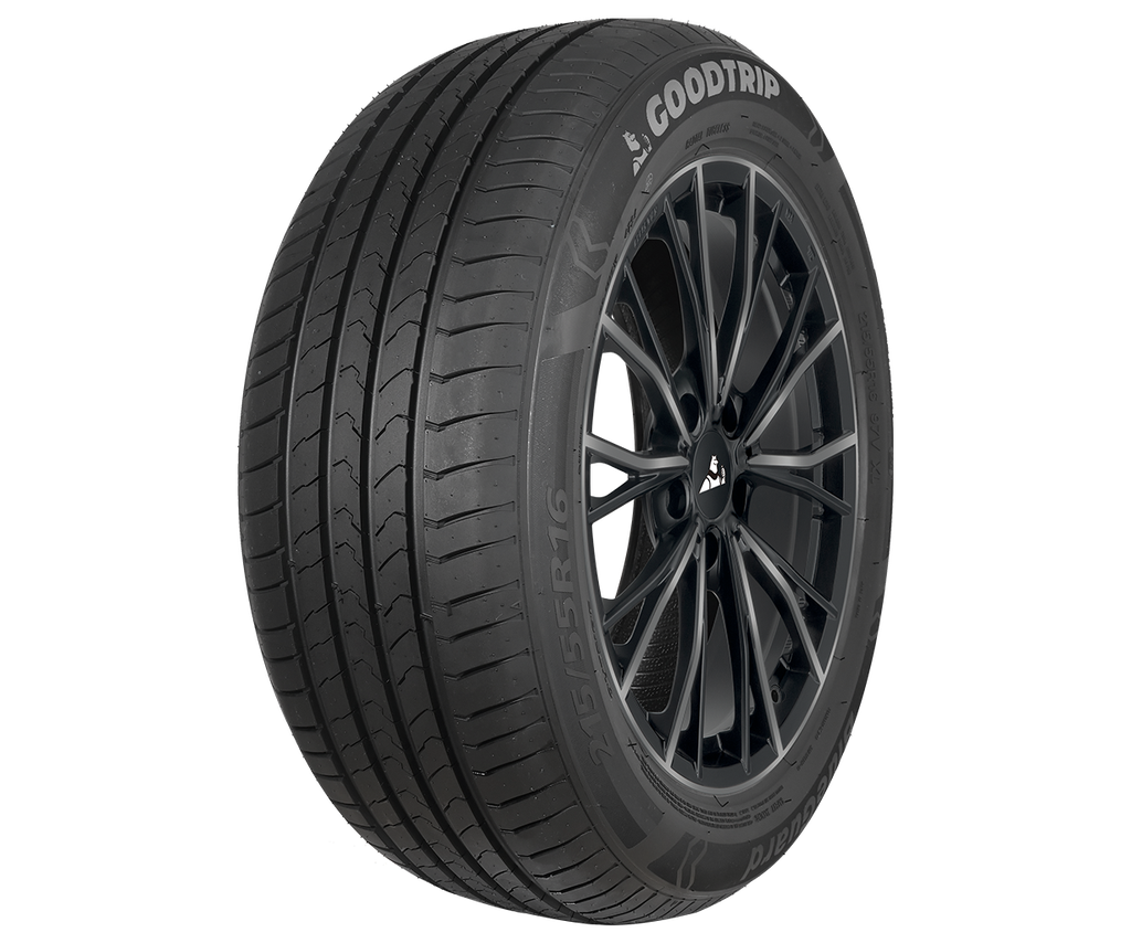 PNEU 205/50R17 93W GOODTRIP BLUEGUARD XL