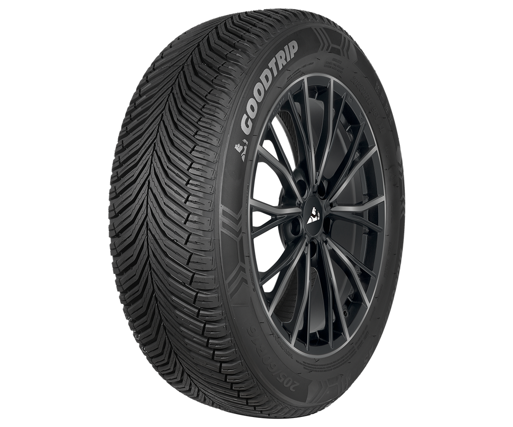 245/45R19 102Y GOODTR BLUEGUA AS XL